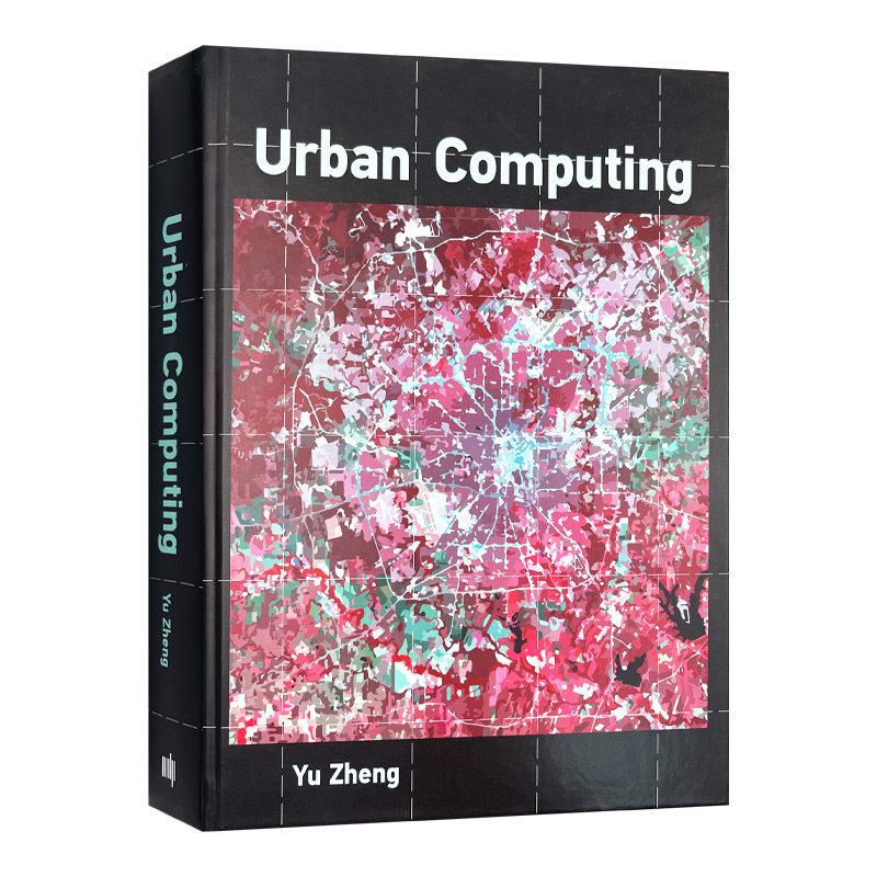 英文原版 Urban Computing Information Systems 城市计算 精装 英文版 进口英语原版书籍