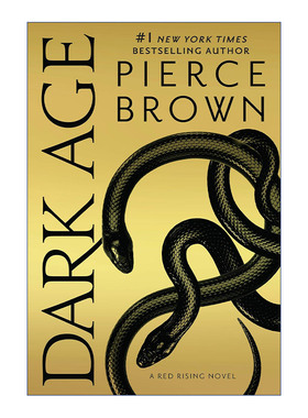英文原版小说 Dark Age the Red Rising 05 火星崛起5 黑暗时代 Pierce Brown 英文版 进口英语原版书籍