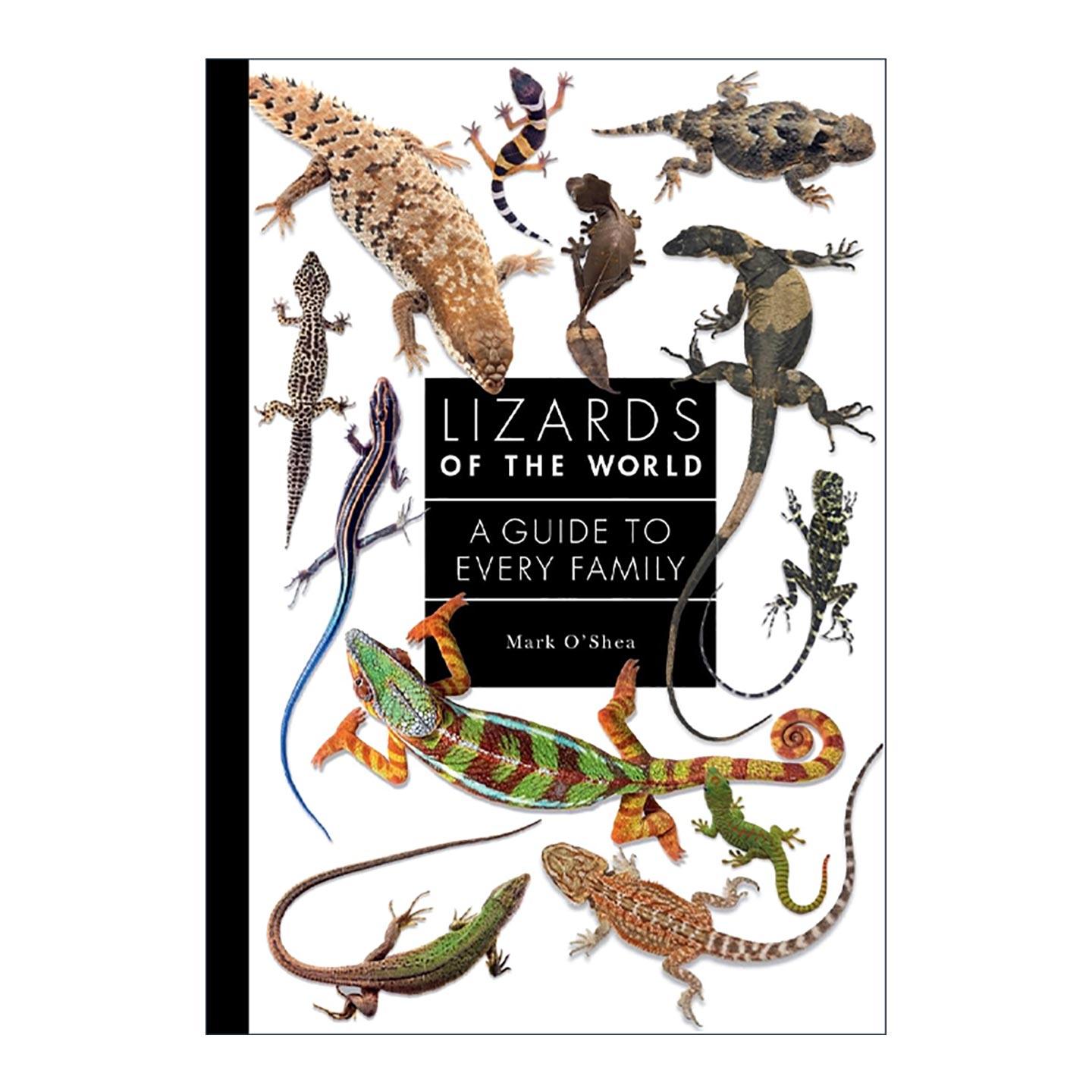英文原版 Lizards of the World 世界蜥蜴 普林斯顿家庭指南 百科科普图鉴 图文详解 精装 英文版 进口英语原版书籍