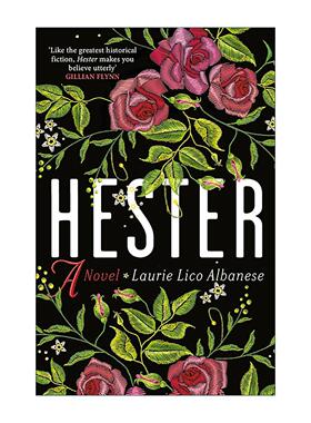 英文原版 Hester 海丝特 致敬霍桑经典文学红字 历史女性小说 Laurie Lico Albanese 英文版 进口英语原版书籍