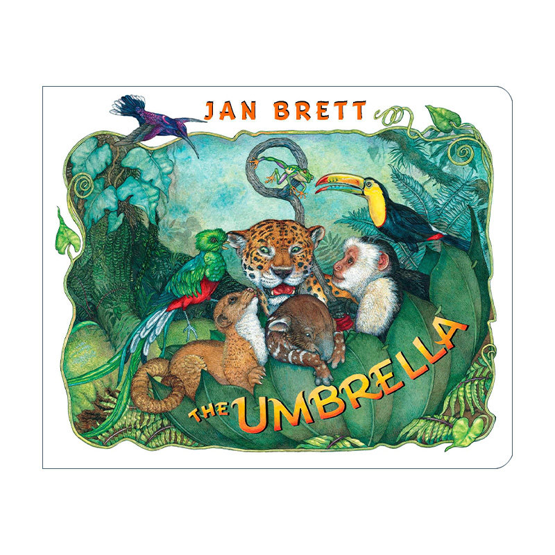 英文原版绘本 The Umbrella 雨伞 幼儿儿童自然主题绘本 纸板书 Jan Brett 英文版 进口英语原版书籍