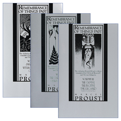 英文原版小说 Vintage 追忆似水年华系列3册 Remembrance of Things 英文版 进口英语原版书籍