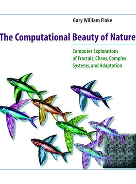 英文原版 The Computational Beauty of Nature 自然的计算之美 计算机对分形 混沌 复杂系统和适应性的探索 Gary William Flake