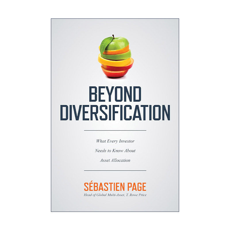 英文原版 Beyond Diversification 多样化之外 精装 英文版 进口英语原版书籍