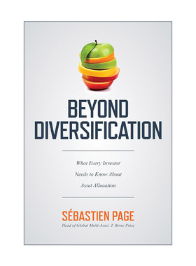 英文原版 Beyond Diversification 多样化之外 精装 英文版 进口英语原版书籍