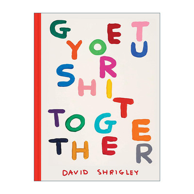 英文原版 Get Your Sh*t Together 得心应手 精装 插画家David Shrigley 英文版 进口英语原版书籍
