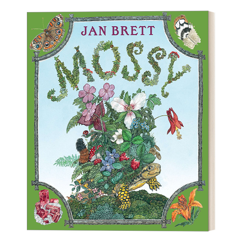 英文原版 Mossy 乌龟摩西 3-5岁儿童动物历史主题精装绘本 Jan Brett 英文版 进口英语原版书籍