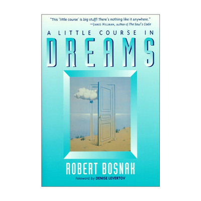 英文原版 A Little Course in Dreams 梦里的小课程 心理学 精神疗法 荣格 Robert Bosnak 英文版 进口英语原版书籍