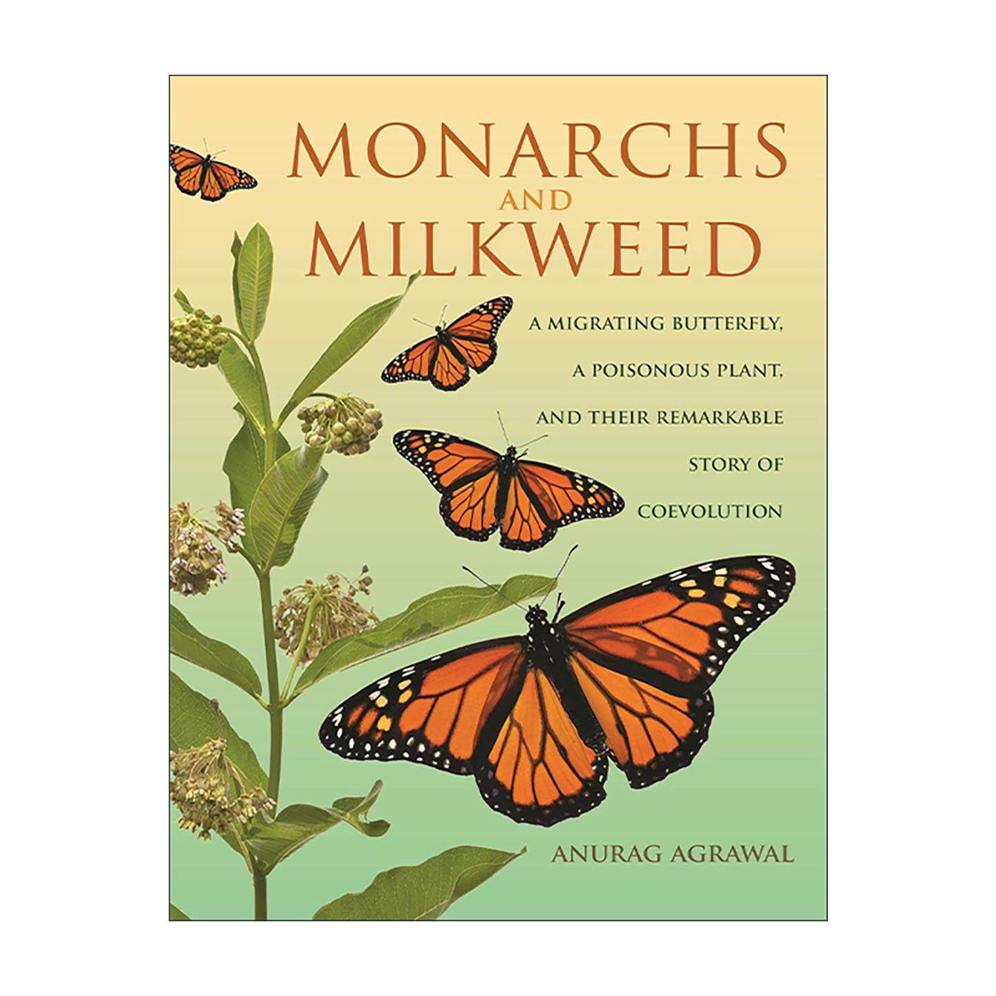 英文原版 Monarchs and Milkweed 帝王蝴蝶与乳草 正在迁移的蝴蝶 有毒植物及其共同进化 康奈尔大学生态学教授Anurag Agrawal