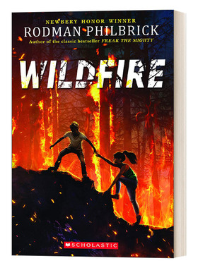 英文原版 WILDFIRE 山火 罗德曼菲布利克 英文版 进口英语原版书籍 经典畅销小说