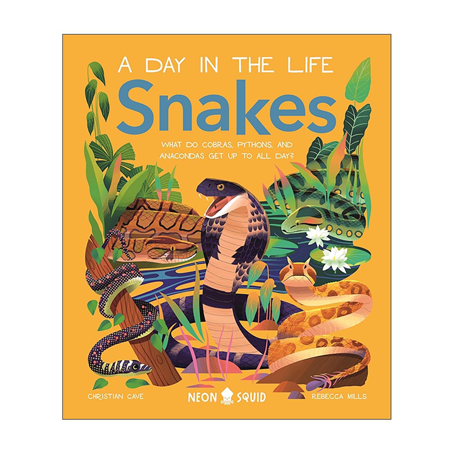 英文原版 Snakes 生活中的一天之蛇 眼镜蛇 蟒蛇和蟒蛇整天都在干什么 精装科普读本 英文版 进口英语原版书籍