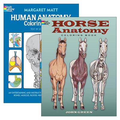 英文原版 Dover Science For Kids Coloring Books 儿童人体/马类解剖涂色着色书2册 科普益智游戏活动书 英文版 进口英语原版书籍