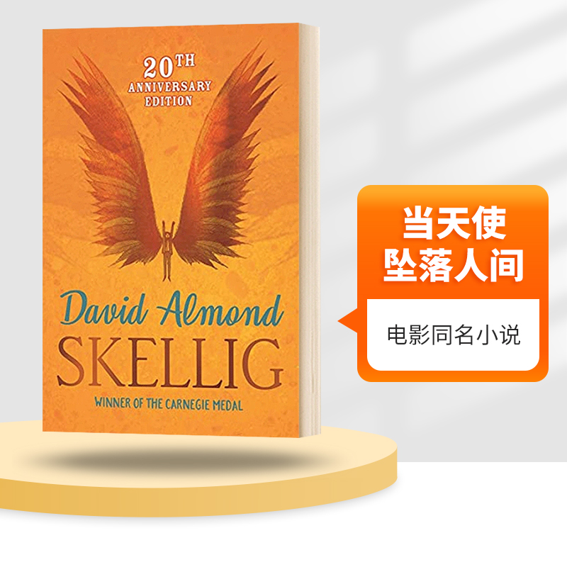 英文原版当天使坠落人间