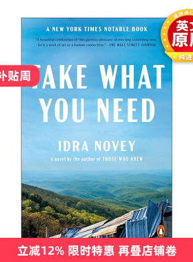 英文原版 Take What You Need 拿走你要的 女性小说 Idra Novey 英文版 进口英语原版书籍