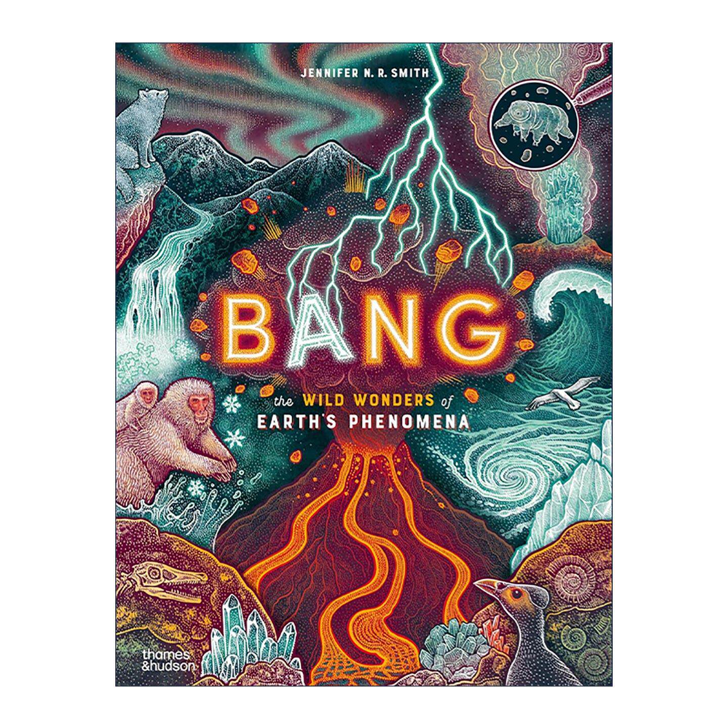 英文原版 Bang the Wild Wonders of Earth’s Phenomena 爆发 地球上的奇迹 现象奇观 儿童自然科学科普百科绘本精装 英文版