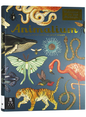 【欢迎来到博物馆系列】Animalium动物馆 精装大开本插图精美科普读物儿童全英语书