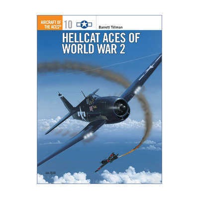 英文原版 Hellcat Aces of World War 2 二战美国野猫战斗机 图册指南 英文版 进口英语原版书籍