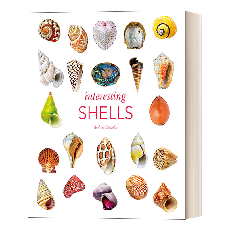 英文原版小说 Interesting Shells 有趣的贝壳 精装壳类百科 精装 英文版 进口英语原版书籍