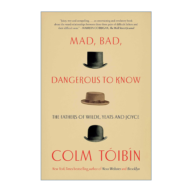 英文原版 Mad Bad Dangerous to Know文学家的父亲科尔姆托宾英文版进口英语原版书籍-封面
