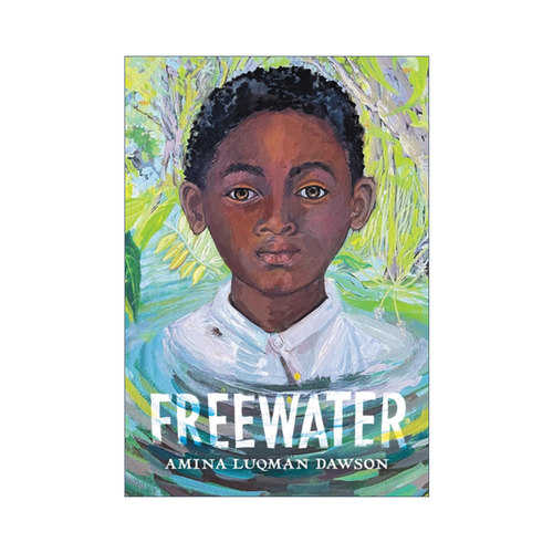 英文原版 Freewater 游离水 2023纽伯瑞金奖 精装 英文版 进口英语原版书籍