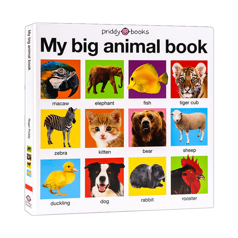 英文原版绘本 My Big Animal Book Casebound 我的大本动物书 低幼早教动物认知启蒙图画书 英文版 进口英语原版书籍儿童全英语书