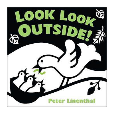 英文原版 Look Look Outside 看看外面 儿童启蒙认知绘本 黑白对比插图 纸板书 Peter Linenthal 英文版 进口英语原版书籍
