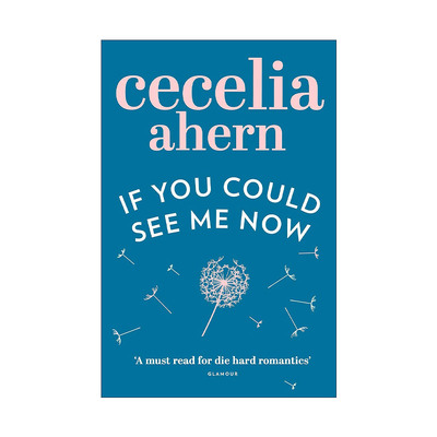英文原版 If You Could See Me Now 爱就在眼前 塞西莉亚·艾亨畅销治愈小说 英文版 进口英语原版书籍