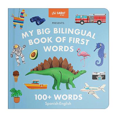 原版 My Big Bilingual Book of First Words 我的双语启蒙词典 英语西班牙语词汇学习积累 儿童精装绘本 Mike Alfaro进口原版书籍