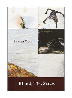 英文原版 Blood Tin Straw 血液 锡 稻草 帕特森诗歌奖 普利策奖得主Sharon Olds 英文版 进口英语原版书籍