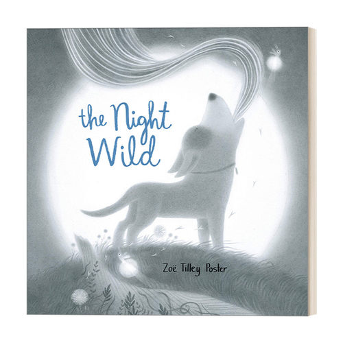 英文原版 The Night Wild 狂野的月光冒险 3-5岁儿童动物友谊精装绘本 睡前读物 Zo? Tilley Poster 英文版 进口英语原版书籍