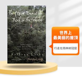 英文原版 The Most Beautiful Roof in the World 世界上最美丽的屋顶 行走在雨林树冠层 纽伯瑞奖作者 英文版 进口英语原版书籍