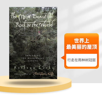 英文原版世界上最美丽的屋顶