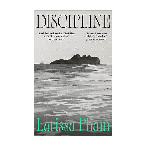 英文原版 Discipline 自律 心理文学小说 艺术伦理 Larissa Pham 精装 英文版 进口英语原版书籍