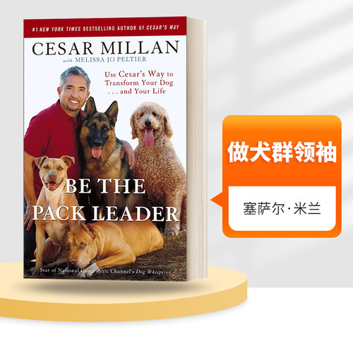 英文原版做犬群领袖塞萨尔·米兰