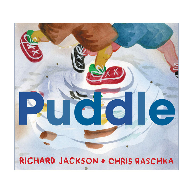 英文原版 Puddle 水坑 凯迪克奖得主克里斯拉斯卡 精装绘本 英文版 进口英语原版书籍