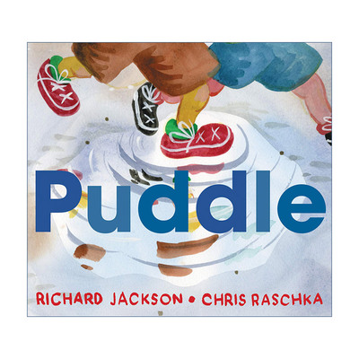 英文原版 Puddle 水坑 凯迪克奖得主克里斯拉斯卡 精装绘本 英文版 进口英语原版书籍