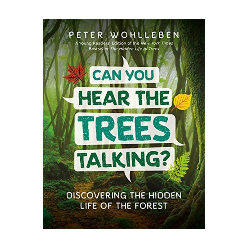 英文原版 Can You Hear The Trees Talking 你能听到树在说话吗 探索森林中的隐秘生活 儿童科普百科 精装 英文版 进口英语原版书