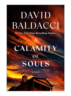 英文原版 A Calamity of Souls 灵魂的灾难 惊悚推理小说 戴维·鲍尔达奇新作 英文版 进口英语原版书籍