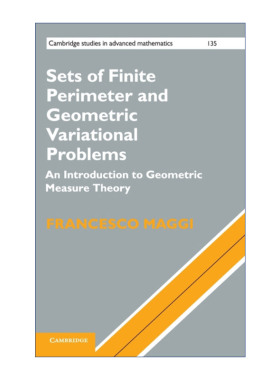 英文原版 Sets of Finite Perimeter and Geometric Variational Problems有限周长集合与几何变分问题 剑桥高等数学研究系列 精装