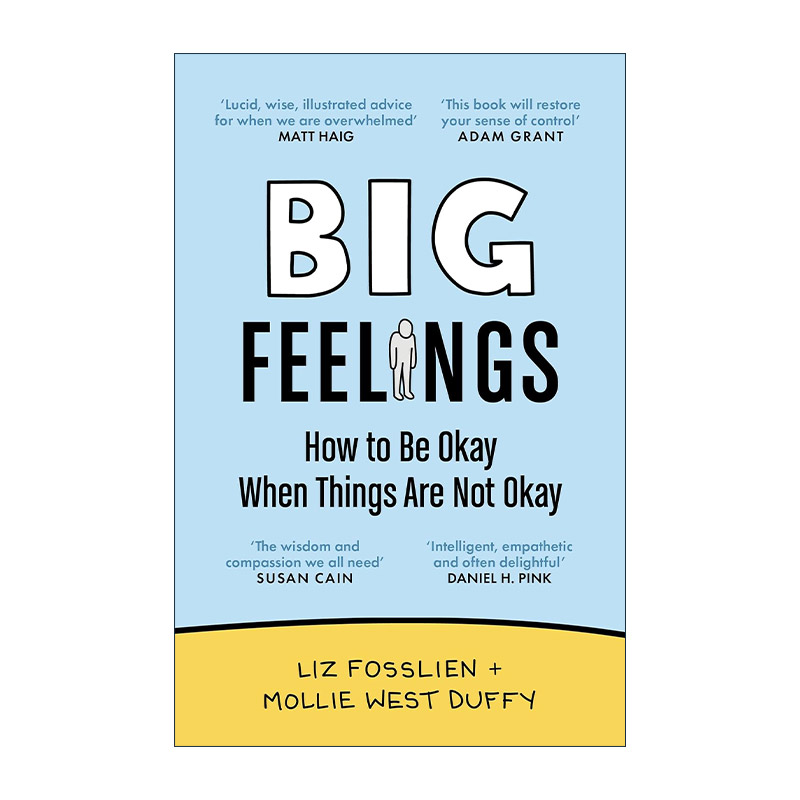 英文原版 Big Feelings 重要的感受 当情况不太好时如何学会接受 利兹·福斯林 英文版 进口英语原版书籍