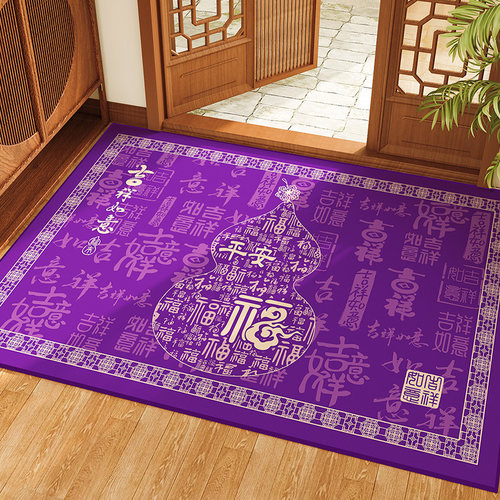 九紫离火运风水入户门地垫进门