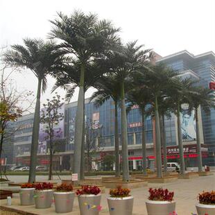 厂家直供园林景观仿真树装饰仿真大王椰树室外大树热带观景树假树