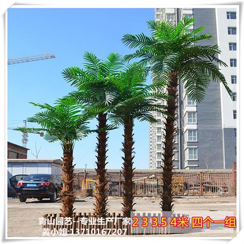 玻璃钢仿真大树老人葵高仿华盛顿棕榈树造景树室外仿真大树定制