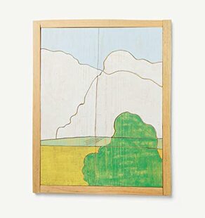 现货 Robert Adams: The Plains, from Memory 罗伯特亚当斯 从木纹中看到风景 摄影集
