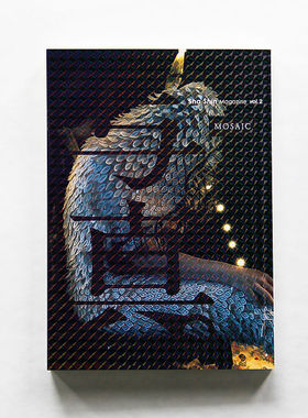 现货全新 Sha Shin Magazine vol.2 Mosaic  モザイク  日本摄影杂志 写真杂志 第二期