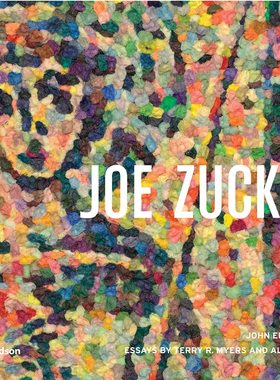现货 Joe Zucker 乔·扎克 英文原版 现当代艺术 艺术家专著 工艺艺术