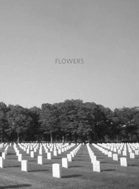 现货 Virginia Dwan: Flowers 墓碑上的花  致力于记录美国各地公墓的坟墓  社会纪实摄影