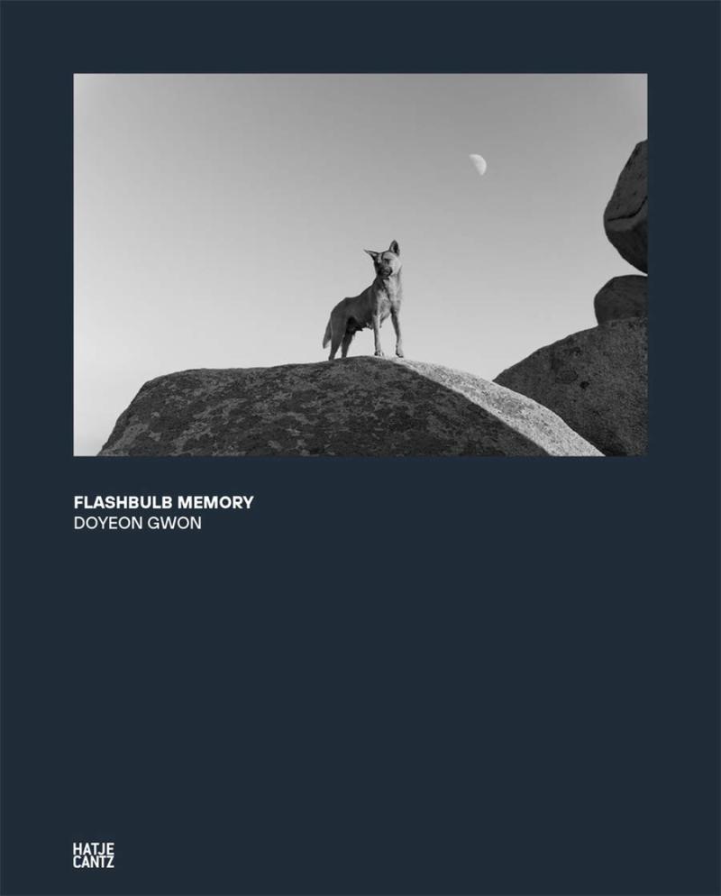 优雅简约和冥想的黑白静物