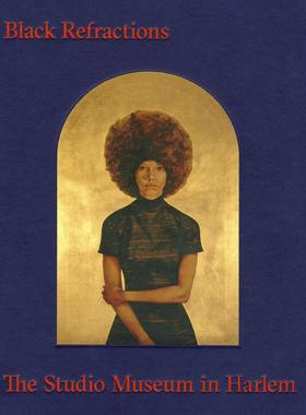 现货黑色折射 哈莱姆工作室博物馆的亮点 Black Refractions 原版艺术图书