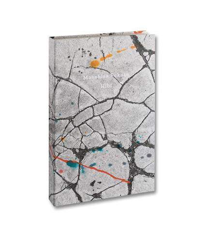 现货 深濑昌久摄影集 Masahisa Fukase：Hibi 街头摄影作品集